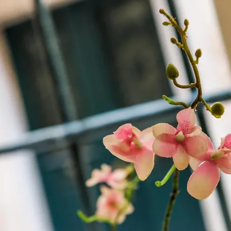 Tezoro Guest house 3*
